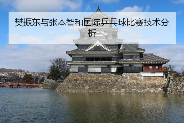 樊振东与张本智和国际乒乓球比赛技术分析
