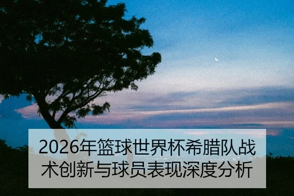 nian-lan-qiu-shi-jie-bei-xi-la-dui-zhan-shu-chuang-xin-yu-qiu-yuan-biao-xian-shen-du-fen-xi-2-966.jpg