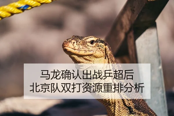 马龙确认出战乒超后 北京队双打资源重排分析
