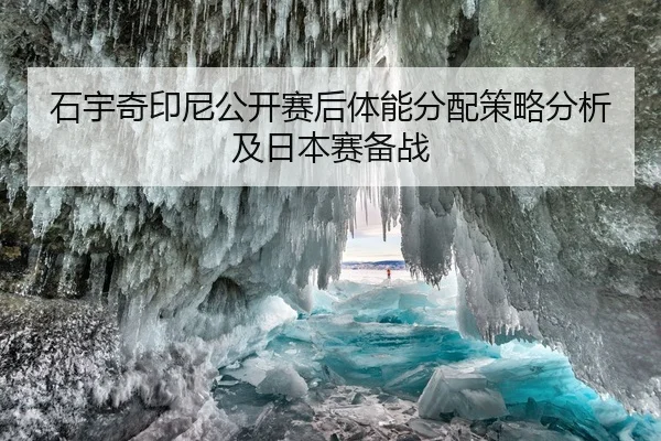 shi-yu-qi-yin-ni-gong-kai-sai-hou-ti-neng-fen-pei-ce-lve-fen-xi-ji-ri-ben-sai-bei-zhan-2-215.jpg