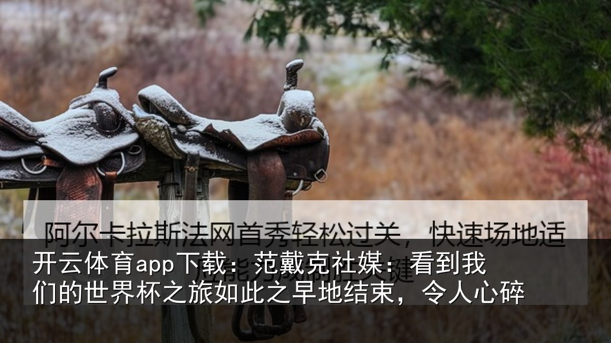 开云体育app下载:范戴克社媒:看到相关情况如此相关情况碎