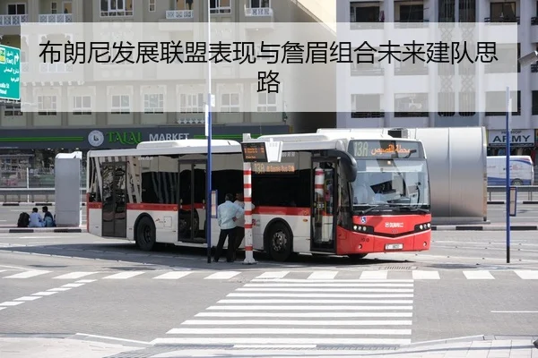 bu-lang-ni-fa-zhan-lian-meng-biao-xian-yu-zhan-mei-zu-he-wei-lai-jian-dui-si-lu-2-313.jpg